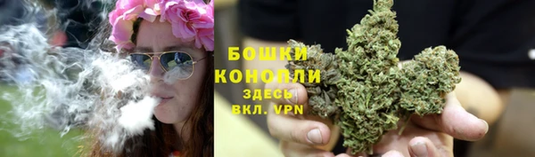 ГАЛЛЮЦИНОГЕННЫЕ ГРИБЫ Горнозаводск