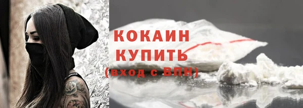 сатива Горняк
