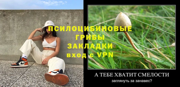 сатива Горняк