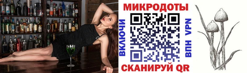 Купить  Пионерский  Псилоцибиновые грибы Psilocybe 