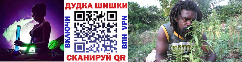 Бошки Шишки сатива  Купить  Пионерский 
